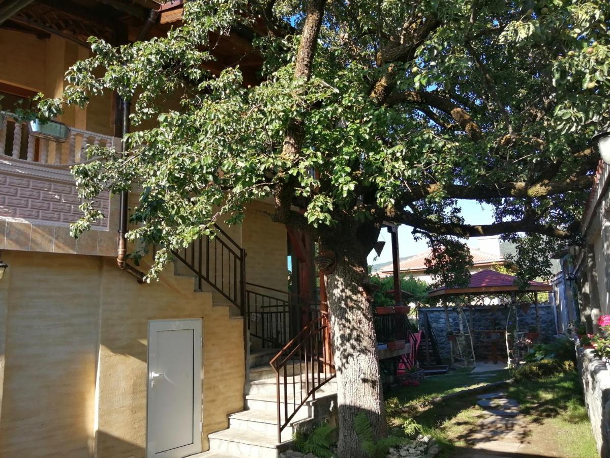 Dariya Guest House ساباريفا بانيا المظهر الخارجي الصورة