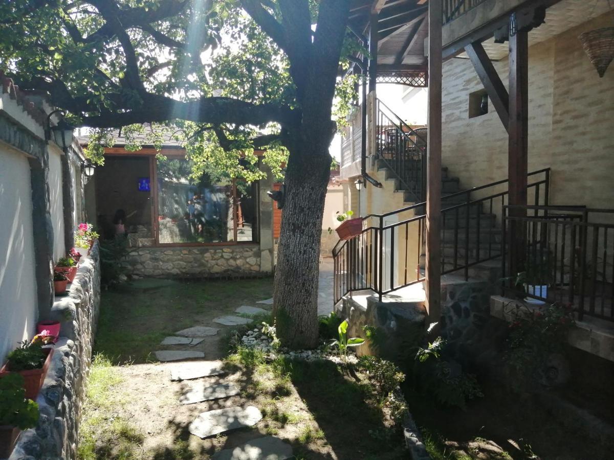 Dariya Guest House ساباريفا بانيا المظهر الخارجي الصورة