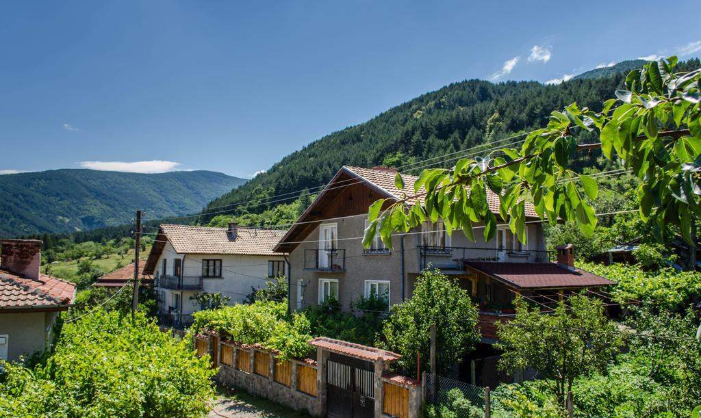 Dariya Guest House ساباريفا بانيا المظهر الخارجي الصورة