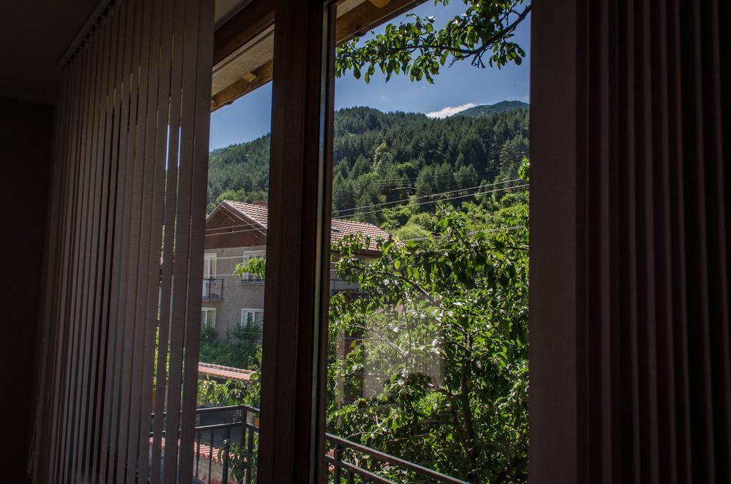 Dariya Guest House ساباريفا بانيا الغرفة الصورة