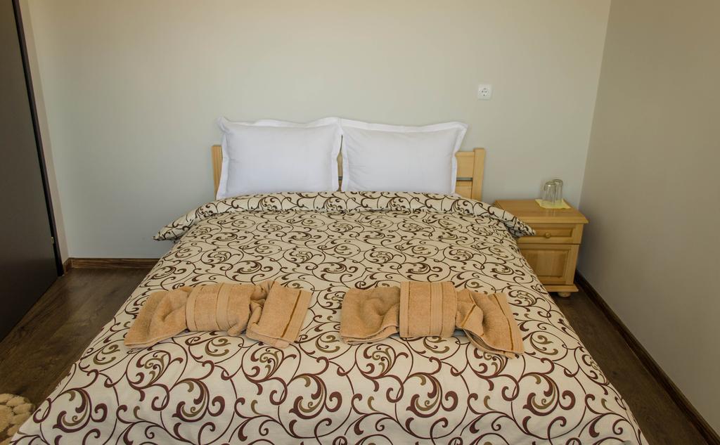 Dariya Guest House ساباريفا بانيا الغرفة الصورة
